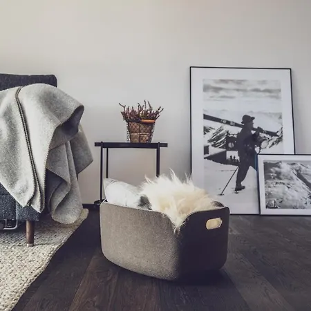 Parsenn Apartamento Davos